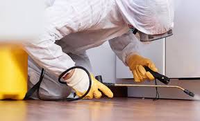 Pest Control for Hotels in Pine Prairie, LA